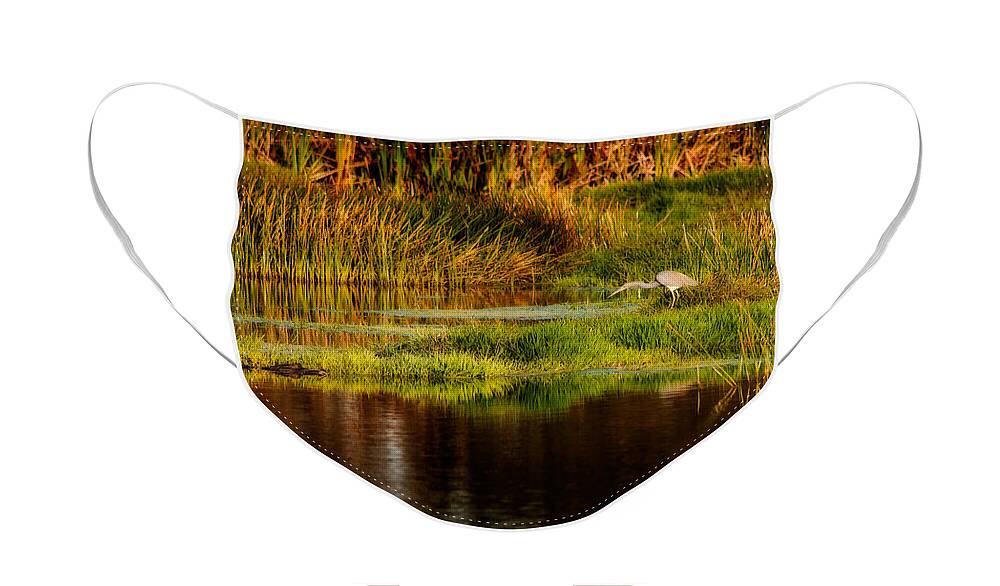 Florida Face Mask featuring the photograph Heron Egret and Gator by Steven Sparks