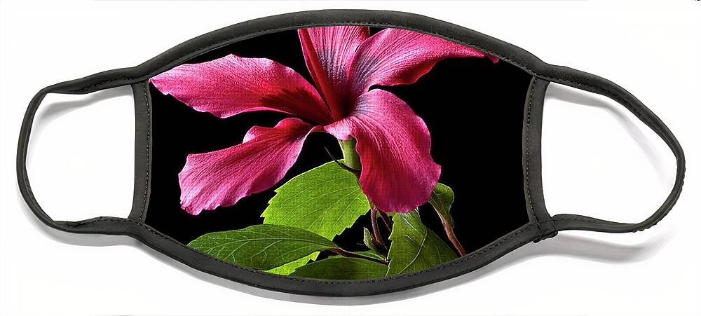 Flower Face Mask featuring the photograph Hibiscus by Endre Balogh