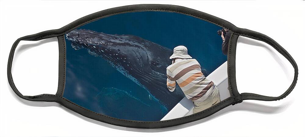 00448007 Face Mask featuring the photograph Humpback Whale Near Surface And Whale by Suzi Eszterhas