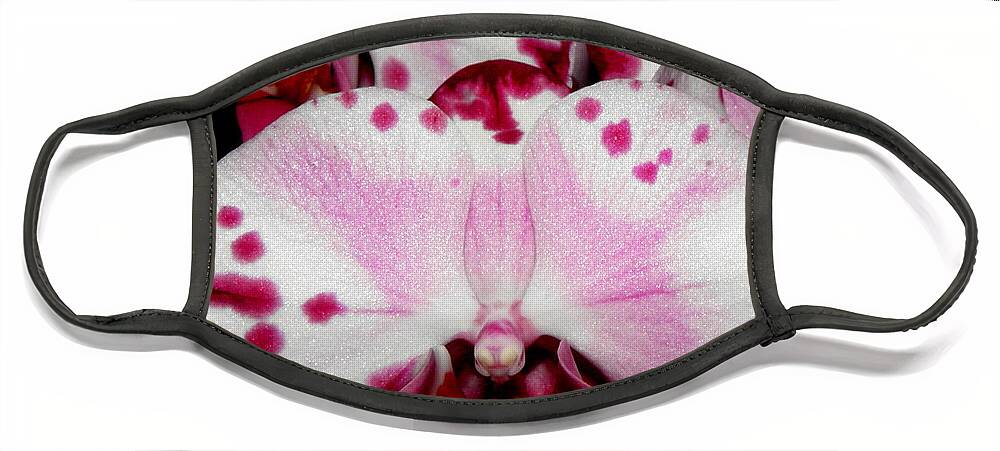 Orchid Face Mask featuring the photograph Hybrid beauty by Kim Galluzzo