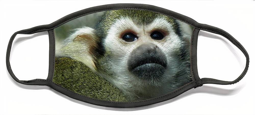 Monkey Face Mask featuring the photograph In Thought by Kim Galluzzo Wozniak