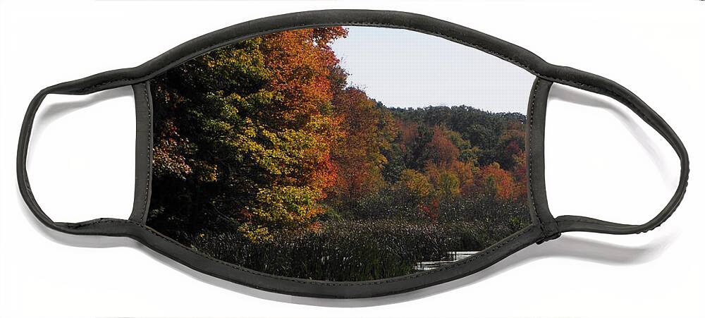 Autumn Face Mask featuring the photograph Just simple Beauty by Kim Galluzzo Wozniak