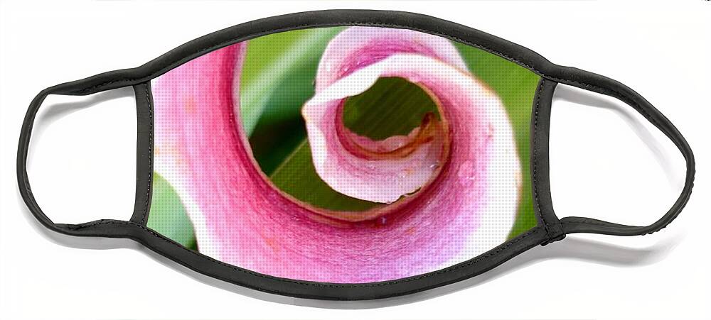 Lily Face Mask featuring the photograph Lily Spiral by Kerri Mortenson