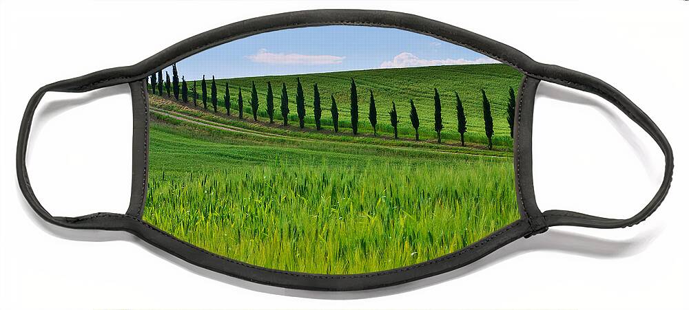 Tuscany Face Mask featuring the photograph Lined up by Ivan Slosar