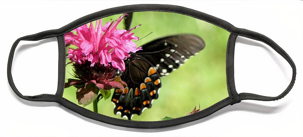 Butterfly Face Mask featuring the photograph Monarch on a Monarda by Kim Galluzzo