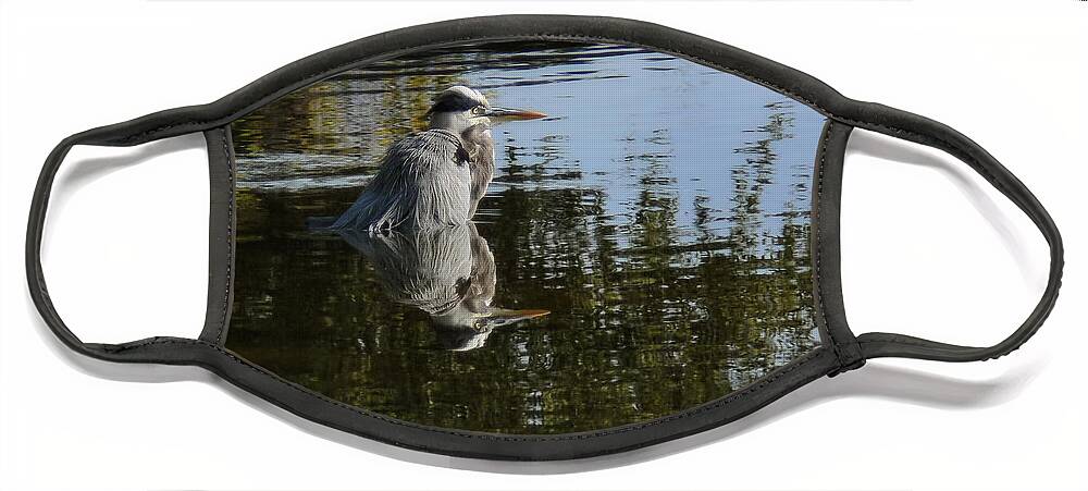 Heron Face Mask featuring the photograph Morning Bath by Steven Sparks