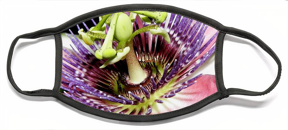 Passion Flower Face Mask featuring the photograph Natures Beauty at Night by Kim Galluzzo