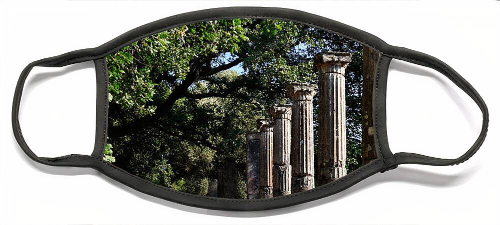 Ancient Face Mask featuring the photograph Palaestra - Ancient Olympia by Constantinos Iliopoulos