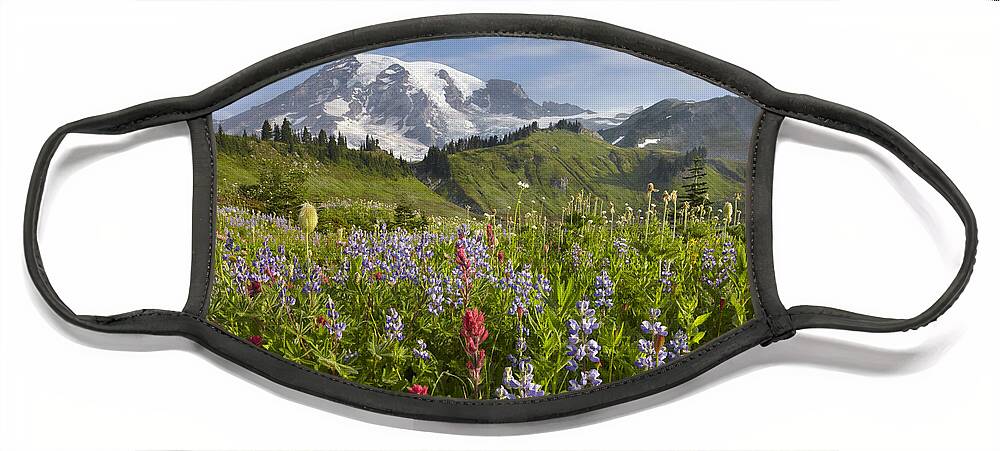 00437809 Face Mask featuring the photograph Paradise Meadow And Mount Rainier Mount by Tim Fitzharris