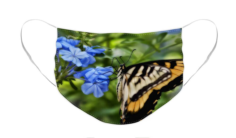 Plumbago Face Mask featuring the photograph Plumbago and Swallowtail by Steven Sparks