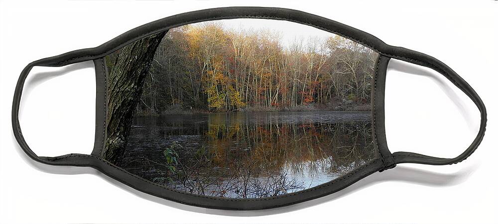 Pond Face Mask featuring the photograph Pond Reflections by Kim Galluzzo