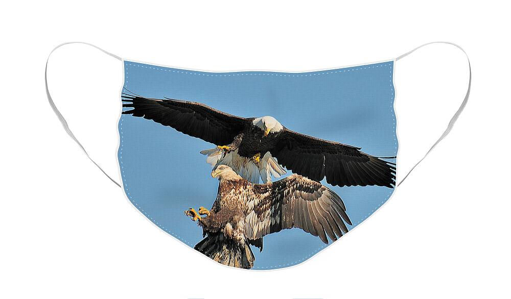 Bald Eagle Face Mask featuring the photograph Pop The Fish by Craig Leaper