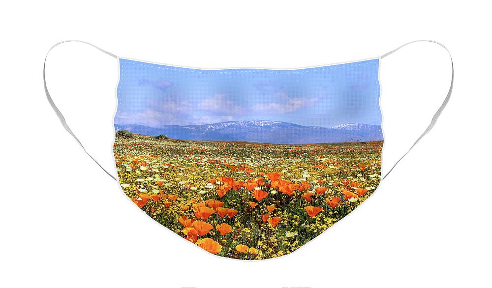 Antelope Valley Face Mask featuring the photograph Poppies over the Mountain by Peter Tellone