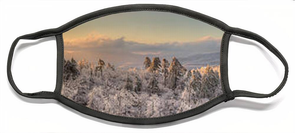 Asheville Face Mask featuring the photograph Raven's View Winter by Joye Ardyn Durham