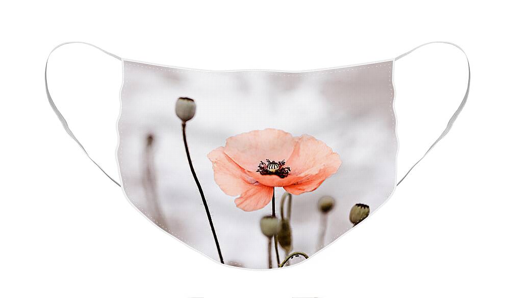Poppy Face Mask featuring the photograph Red Corn Poppy Flowers 01 by Nailia Schwarz
