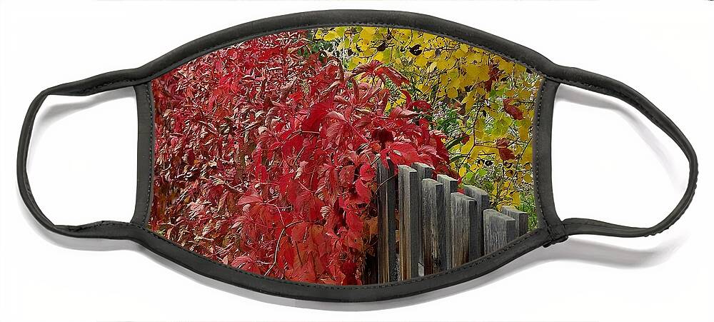 Fall Colors Face Mask featuring the photograph Red Fence by Dorrene BrownButterfield