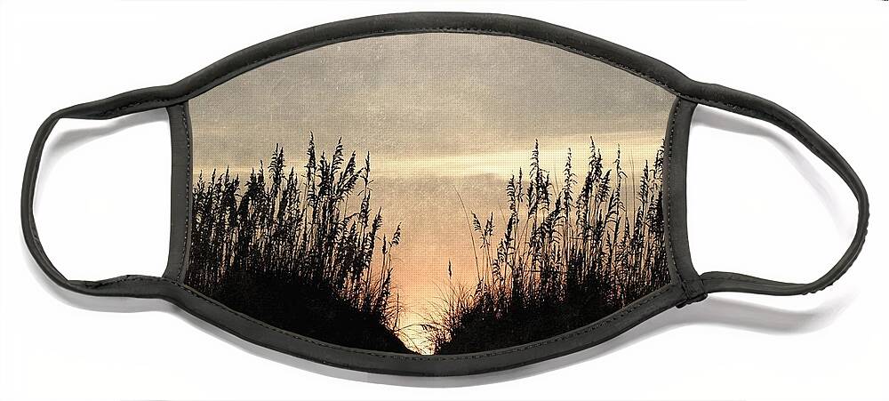 Dunes Face Mask featuring the photograph Rise Between The Dunes by Kim Galluzzo Wozniak
