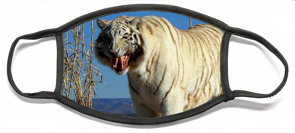 Tiger Face Mask featuring the photograph Roar by Kim Galluzzo Wozniak
