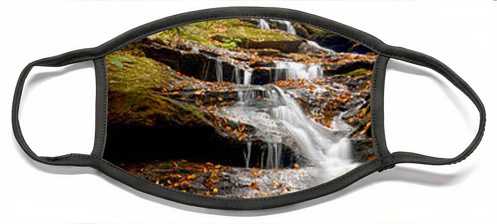 Autumn Face Mask featuring the photograph Roaring Fork Falls by Joye Ardyn Durham
