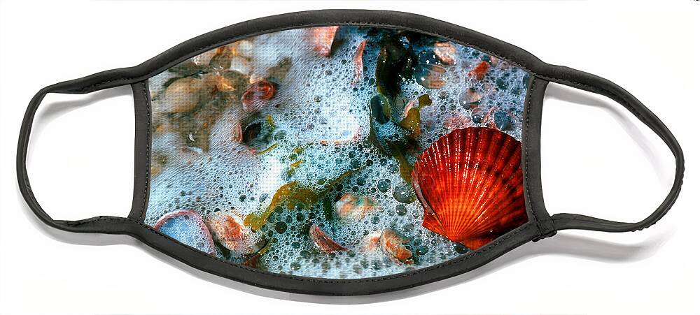 Nature Face Mask featuring the photograph Scallop and Seaweed 11C by Gerry Gantt