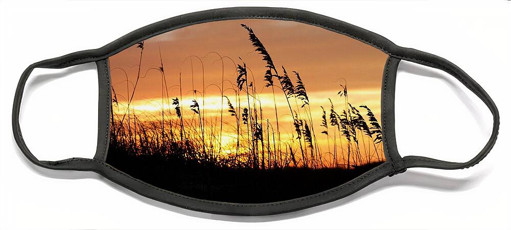 Sea Oats Sunset Face Mask featuring the photograph Sea Oat Sunset Serenade by Kim Galluzzo