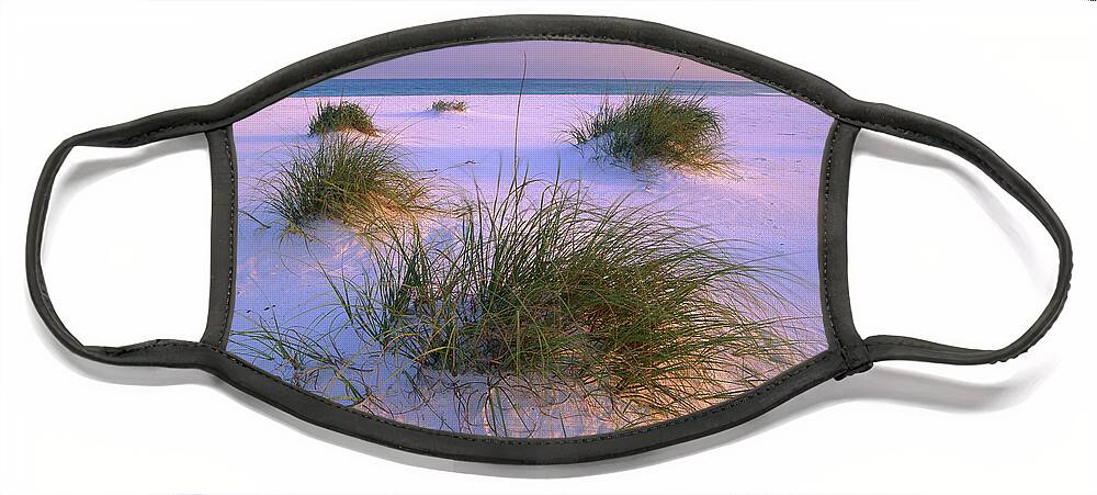 00175944 Face Mask featuring the photograph Sea Oats Growing On Beach Santa Rosa by Tim Fitzharris