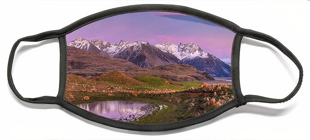 00486210 Face Mask featuring the photograph Sheep And Pond In Predawn Alpenglow by Colin Monteath