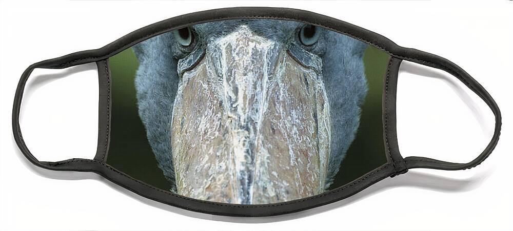 Mp Face Mask featuring the photograph Shoebill Balaeniceps Rex Portrait by Konrad Wothe