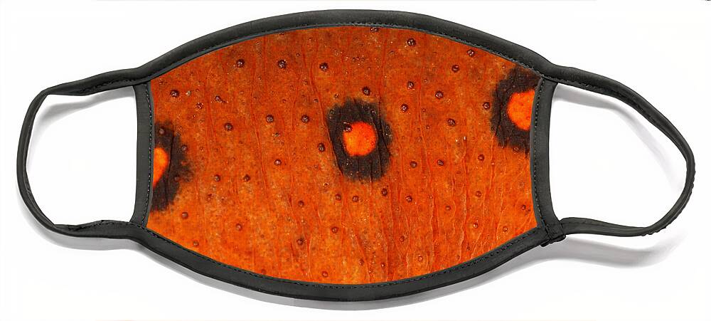 Skin Face Mask featuring the photograph Skin Of Eastern Newt by Ted Kinsman