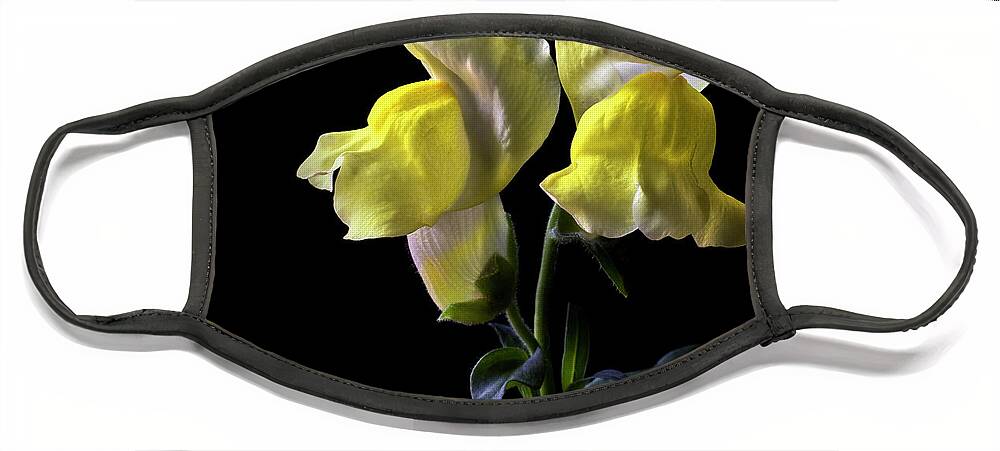 Flower Face Mask featuring the photograph Snapdragons by Endre Balogh