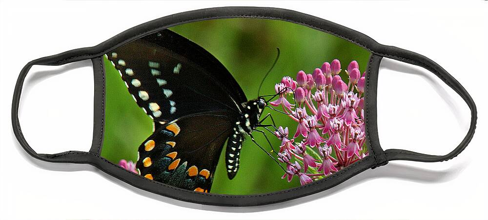 Nature Face Mask featuring the photograph Spicebush Swallowtail DIN039 by Gerry Gantt