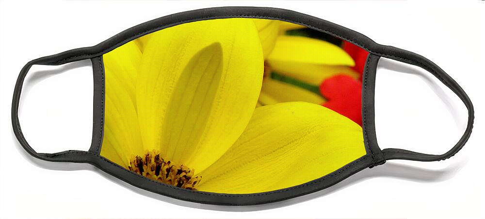 Yellow Flower Face Mask featuring the photograph Spring Has Sprung by Kim Galluzzo Wozniak