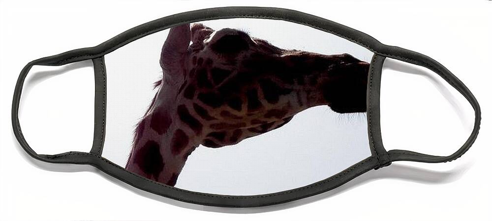 Giraffe Face Mask featuring the photograph Stretch by Kim Galluzzo Wozniak
