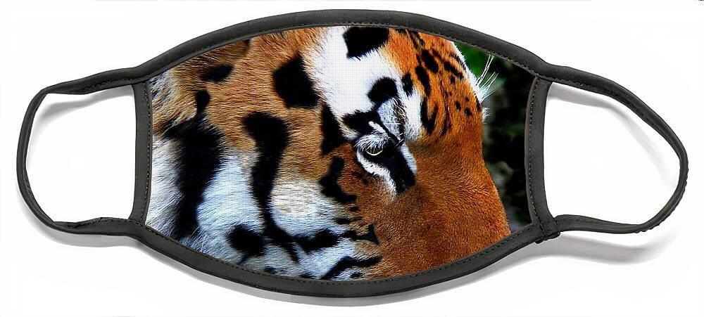 Tiger Face Mask featuring the photograph Sumatran Strength by Davandra Cribbie