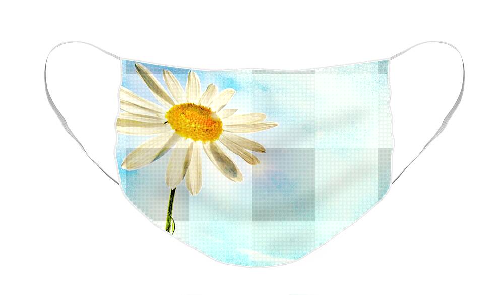 Daisy Face Mask featuring the photograph Sunshine by Marianna Mills
