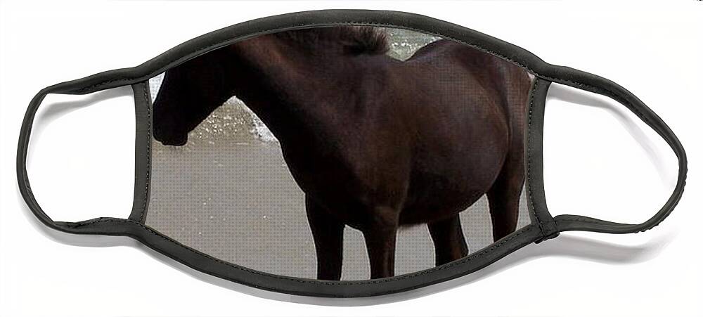 Foal Face Mask featuring the photograph Thinking About It by Kim Galluzzo
