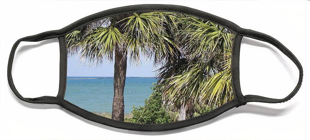 Palm Trees Face Mask featuring the photograph Tropicals by Kim Galluzzo Wozniak