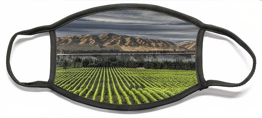 00441046 Face Mask featuring the photograph Vineyard Awatere Valley Near Seddon by Colin Monteath
