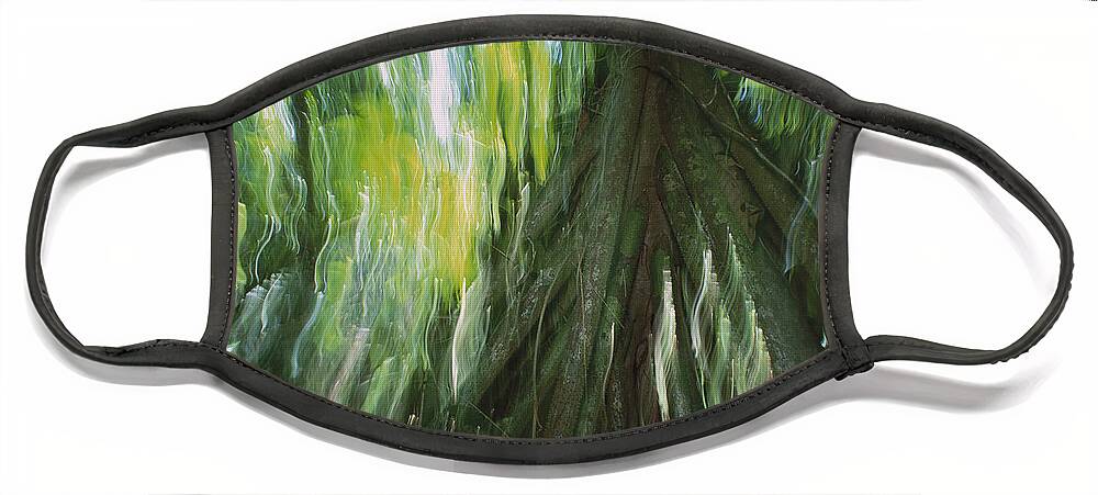 00760001 Face Mask featuring the photograph Walking Palm Tree Abstract by Christian Ziegler
