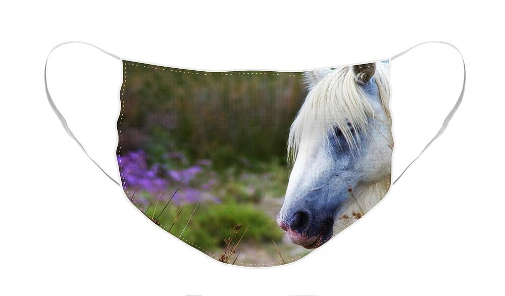 Animal Face Mask featuring the photograph White horse by Roberto Pagani