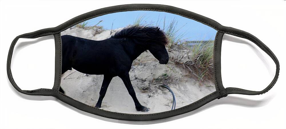 Wild Spanish Mustang Face Mask featuring the photograph Wild Stallion on the dunes by Kim Galluzzo