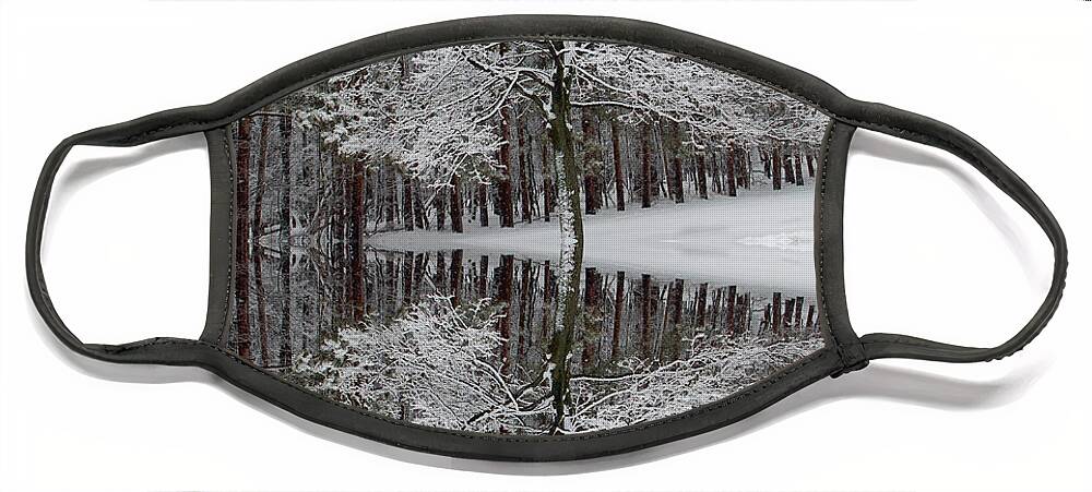 Winter Landscape Face Mask featuring the photograph Winter Reflection by Aimee L Maher ALM GALLERY