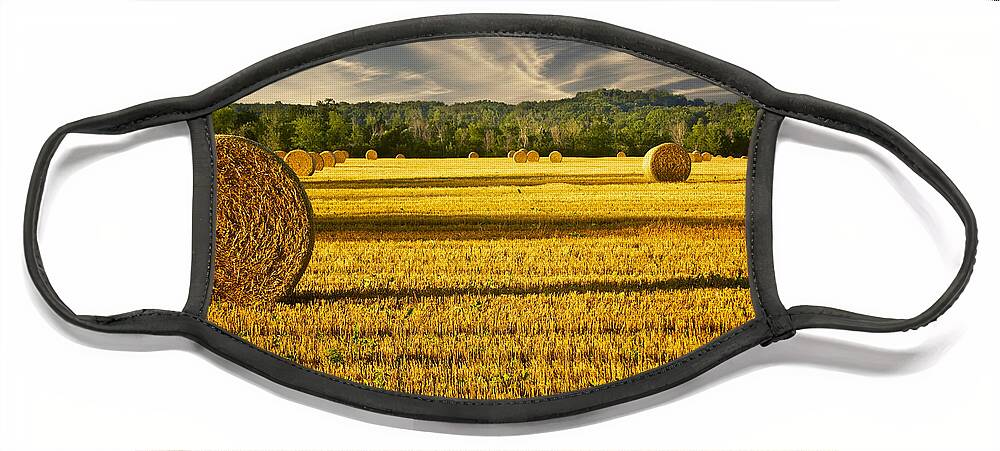 Agriculture Face Mask featuring the photograph Wisconsin Summer by Jarrod Erbe