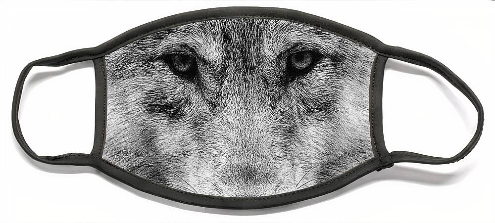 Wolf Face Mask featuring the photograph Wolf Stare by Wade Aiken