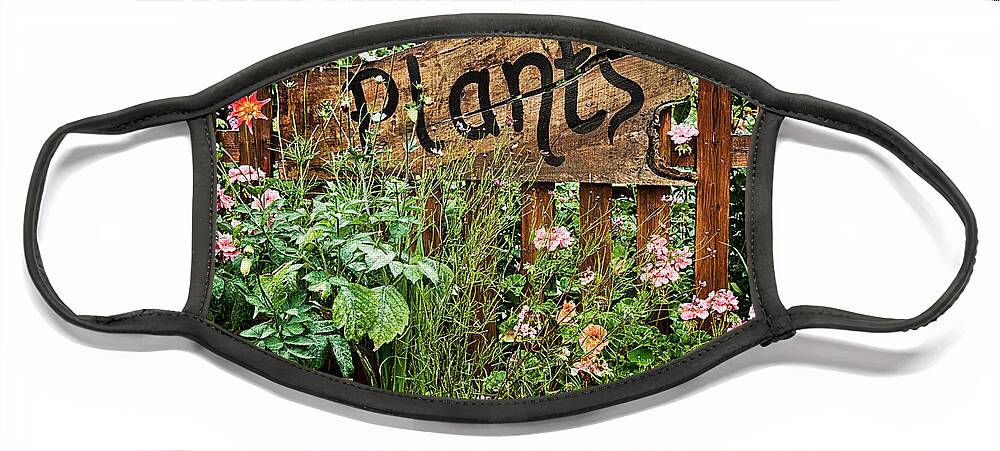 Plants Face Mask featuring the photograph Wooden plant sign in flowers by Simon Bratt