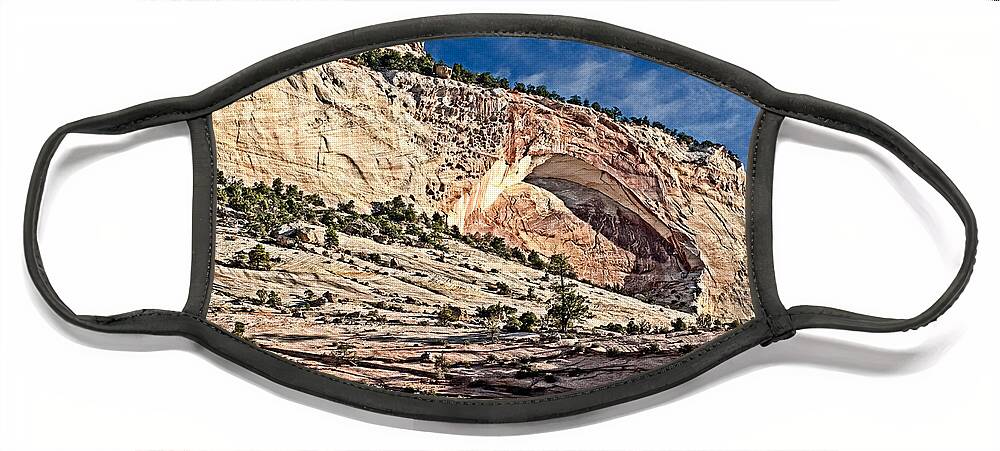 Zion Face Mask featuring the photograph Zion National Park by George Buxbaum