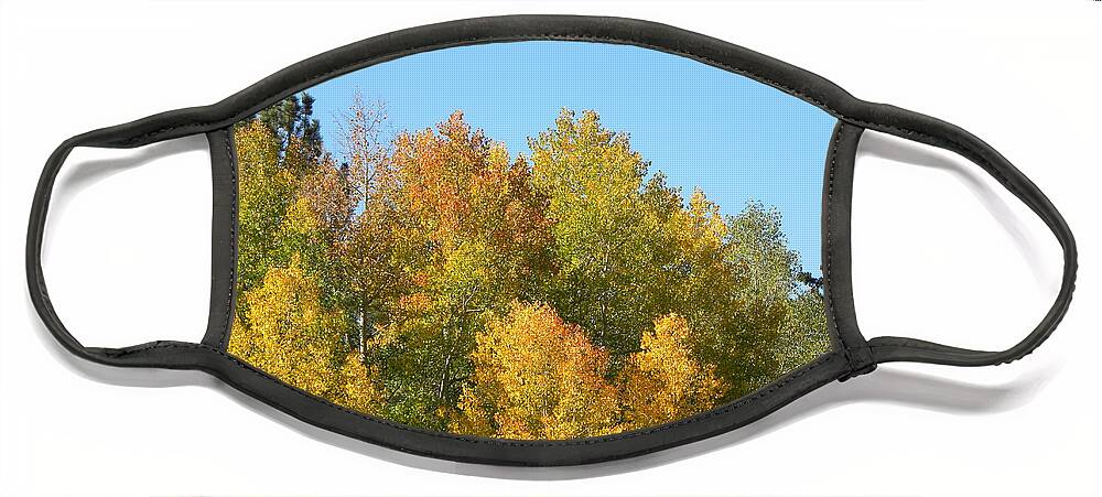 Fall Colors 2014 Face Mask featuring the photograph Fall in Divide CO by Margarethe Binkley