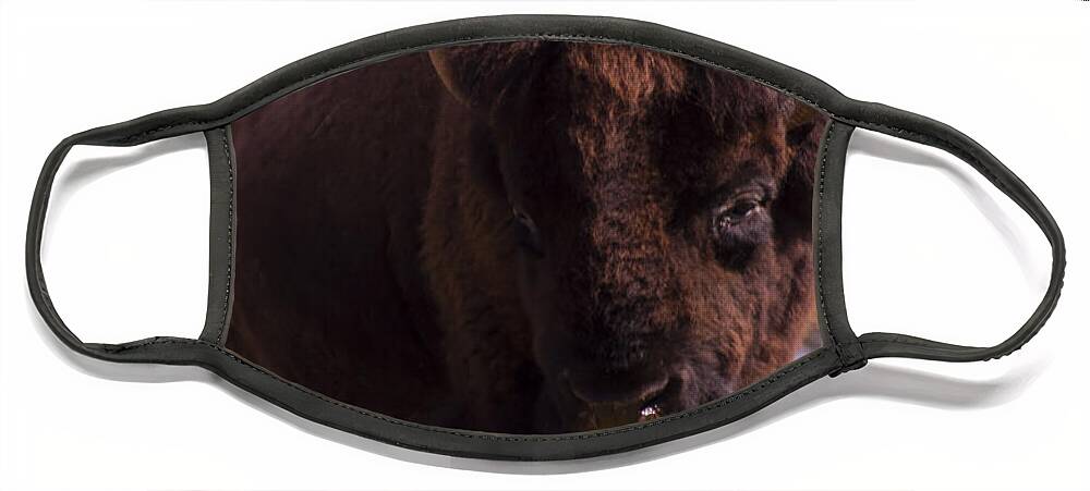American Bison Face Mask featuring the digital art American Bison #1 by Flees Photos