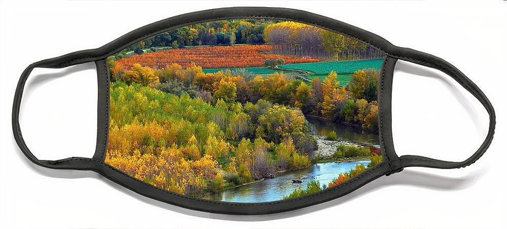 Color Face Mask featuring the photograph Autumn colors on the Ebro river #2 by RicardMN Photography