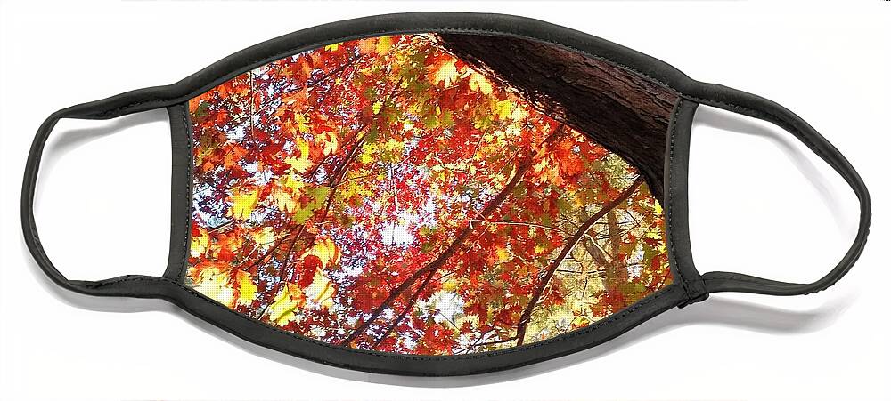 Autumn Face Mask featuring the photograph Autumn Colours #2 by Anita Adams